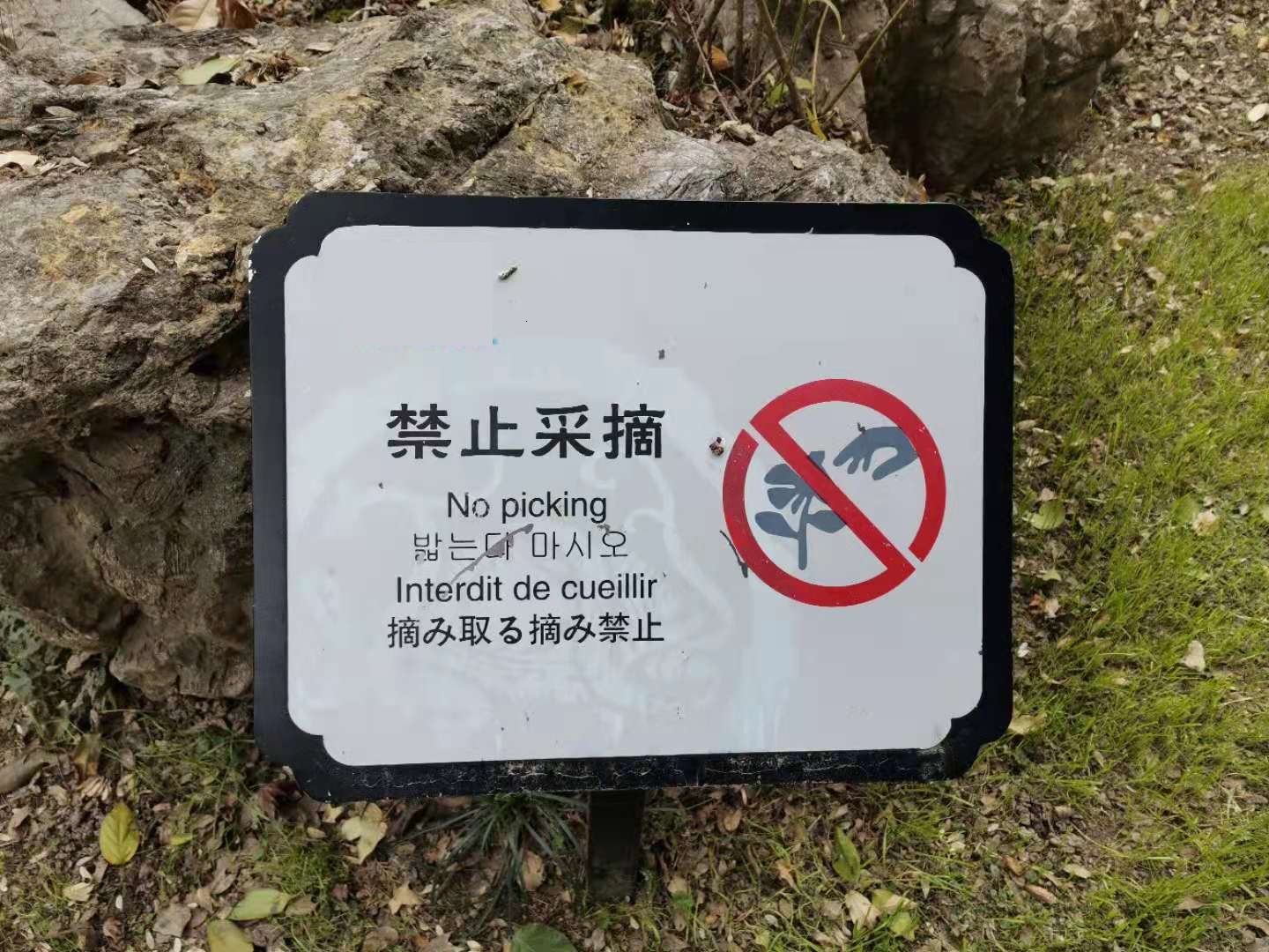 摘み取る摘み禁止